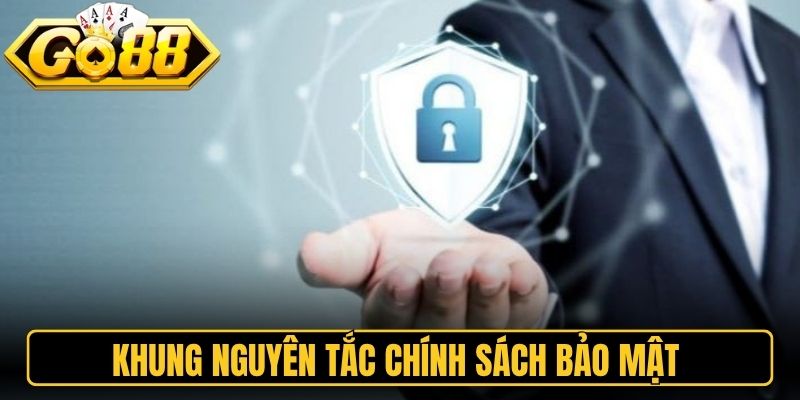 Khung nguyên tắc chính sách bảo mật bảo vệ dữ liệu riêng tư