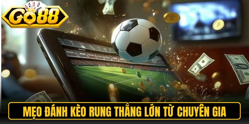 Kèo Rung Go88 – Hướng Dẫn Đặt Cược Trực Tiếp Hiệu Quả 3 Mẹo đánh kèo rung thắng lớn từ chuyên gia